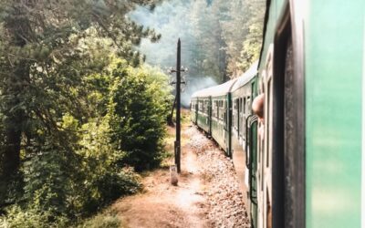 The narrow-gauge railway in Rhodope, Bulgaria, through the prism of New York/Теснолинейката в Родопите през призмата на Ню Йорк